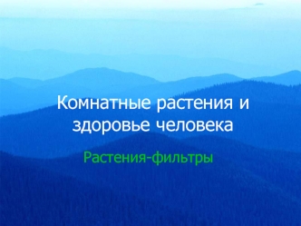 Комнатные растения и здоровье человека. Растения-фильтры