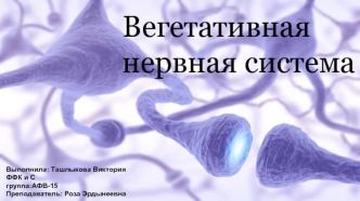 Вегетативная нервная система