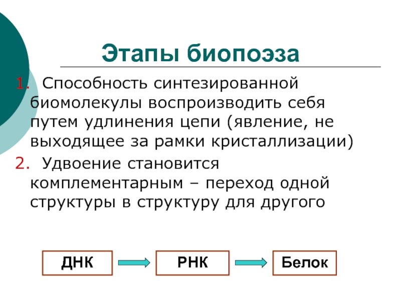 Теория биопоэза картинки