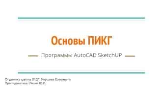 Основы ПИКГ. Программы AutoCAD SketchUP