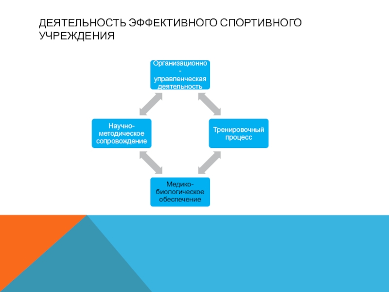 Эффективное функционирование. Медико-биологическое обеспечение спортсменов. Эффективная деятельность. Медико-биологическое сопровождение спортивной подготовки. Медико-биологические мероприятия в спорте.