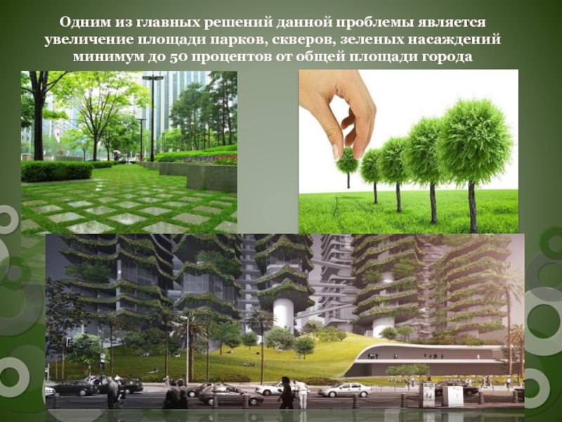 Состояние зеленых насаждений. Роль зеленых насаждений в городской среде. Озеленение промышленных объектов. Важность озеленения. Роль зеленых насаждений в городе