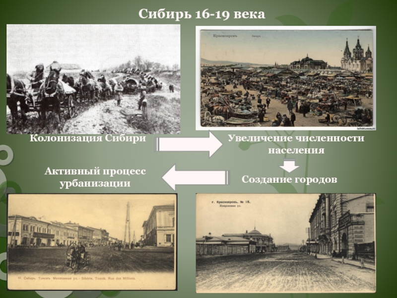 Урбанизация Сибири. Заселение Сибири в 19 веке. Образование новых городов возникновение Херсона. Сибирь урбанизирована.