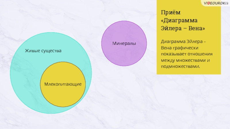 Диаграмма венна в начальной школе