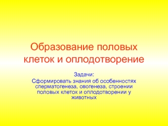 Образование половых клеток и оплодотворение