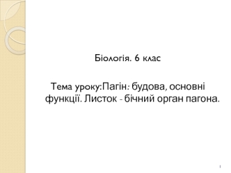 Пагін: будова, основні функції. Листок - бічний орган пагона