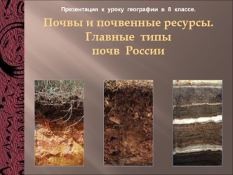 Почвы и почвенные ресурсы. Главные типы почв России
