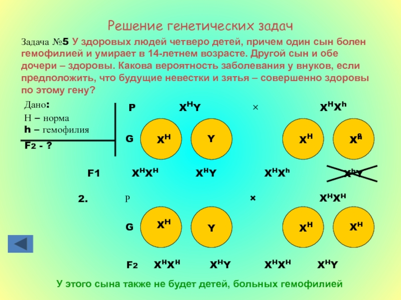 Презентация решение генетических задач 10 класс