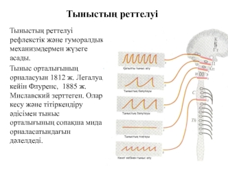 Тыныстың реттелуі