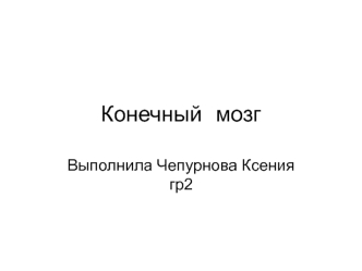 Конечный мозг