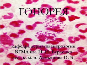 Гонорея. Электроннограмма эпителиальной клетки из биоптата шейки матки при острой гонорее