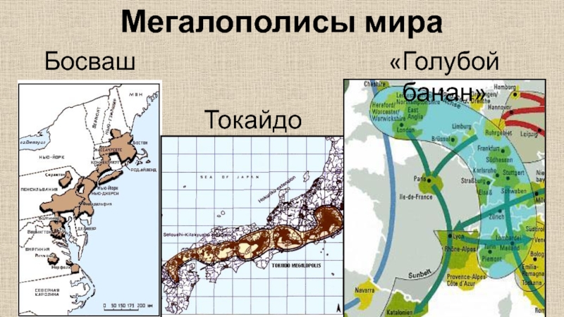 Мегаполис босваш презентация