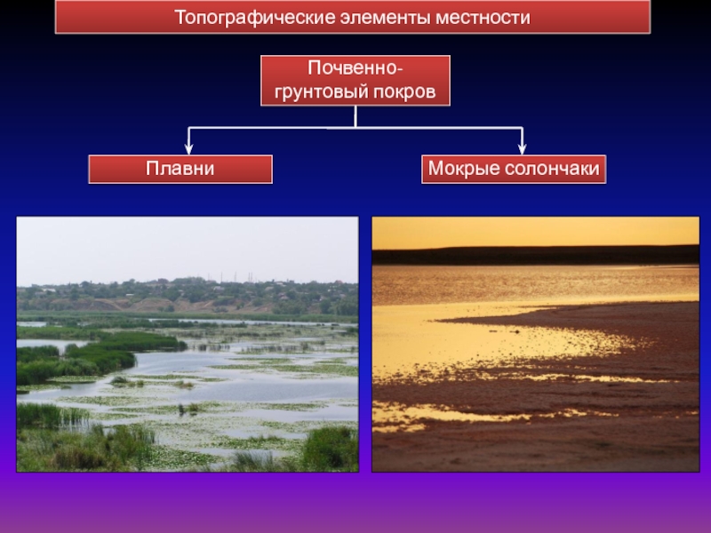 Элементы местности. Почвенно грунтовый Покров это. Компоненты топографические факторы. Местность как элемент.