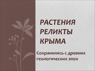 Растения - реликты Крыма