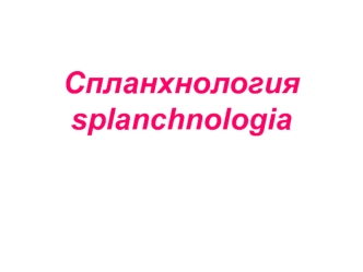 Раздел анатомии спланхнология. (Лекция 1)