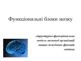 Функціональні блоки мозку