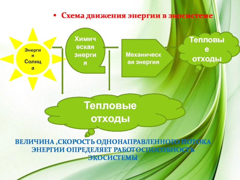 Изобразите в виде схемы потоки энергии в экосистемах