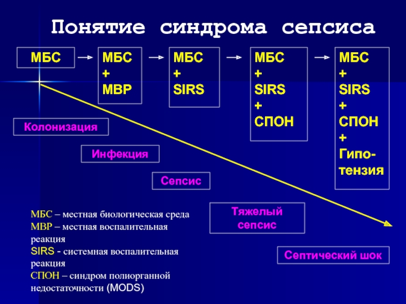 Развитие сепсиса. Сепсис понятие. Sirs сепсис. Реагенты МБС медико биологический Союз. Понятие синдром.