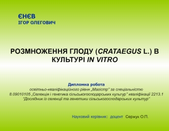 Розмноження глоду (crataegus l.) в культурі in vitro