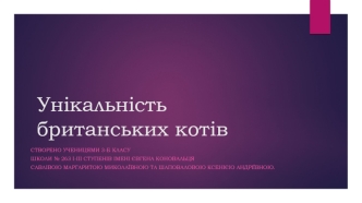 Унікальність британських котів