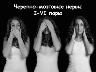 Черепно-мозговые нервы. I-VI пары