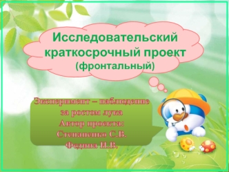 Исследовательский краткосрочный проект (фронтальный). Эксперимент-наблюдение за ростом лука