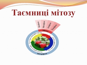 Таємниці мітозу