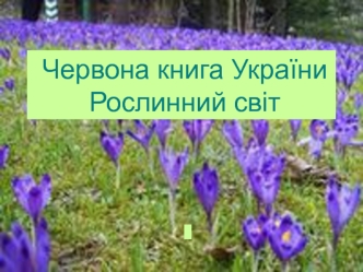 Червона книга України. Рослинний світ