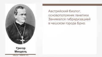 Грегор Мендель 1822–1884 годы. Генетика. Гибридизация