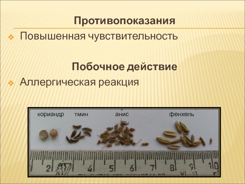 Тмин побочные действия. Тмин и анис в чем разница.