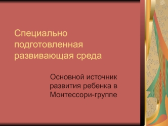 Специально подготовленная развивающая среда. Основной источник развития ребенка в Монтессори-группе