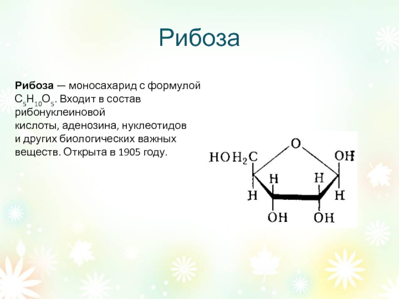 1 рибоза входит в состав