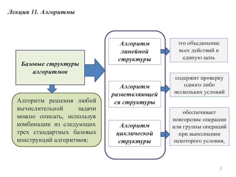 Алгоритм 11. Лекция алгоритма. Цепной алгоритм. Алгоритмы структуры данных программы книга.