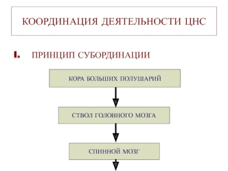 Координация деятельности ЦНС