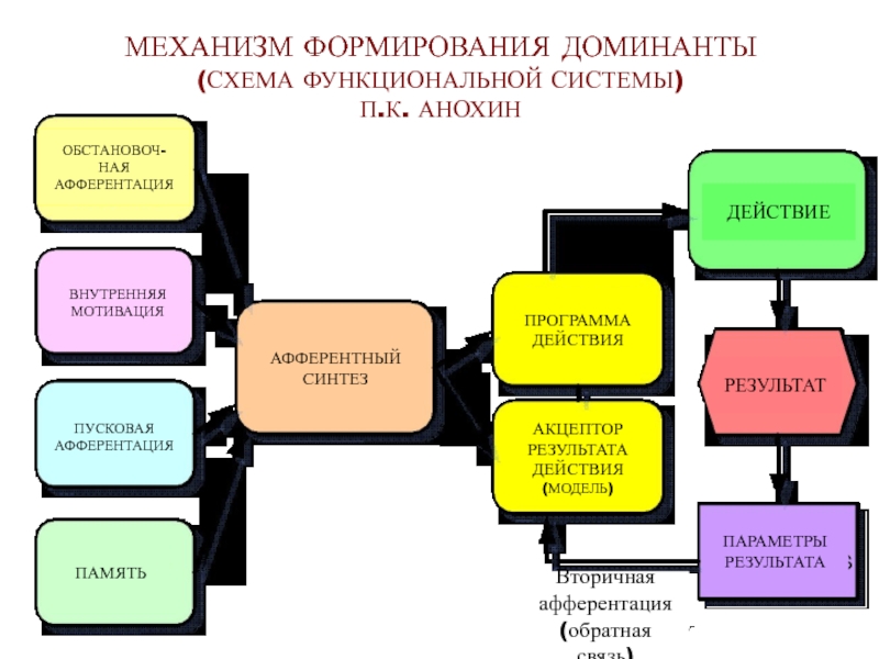 Схема механизмов формирования генератора патологически усиленного возбуждения