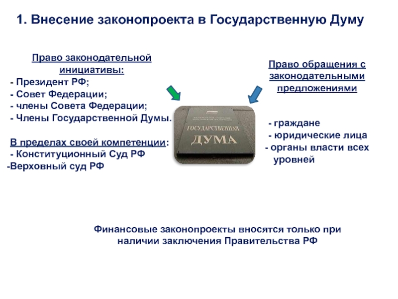 Право вносить проекты федеральных законов право на судебную защиту