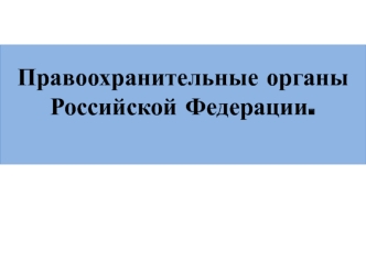 Правоохранительные органы Российской Федерации