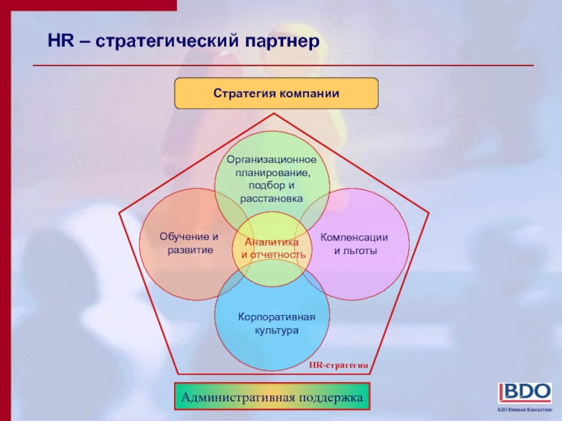 Обязанности эйчара. HR стратегия. Стратегическая цель HR. Направления работы HR. Направления работы HR службы.