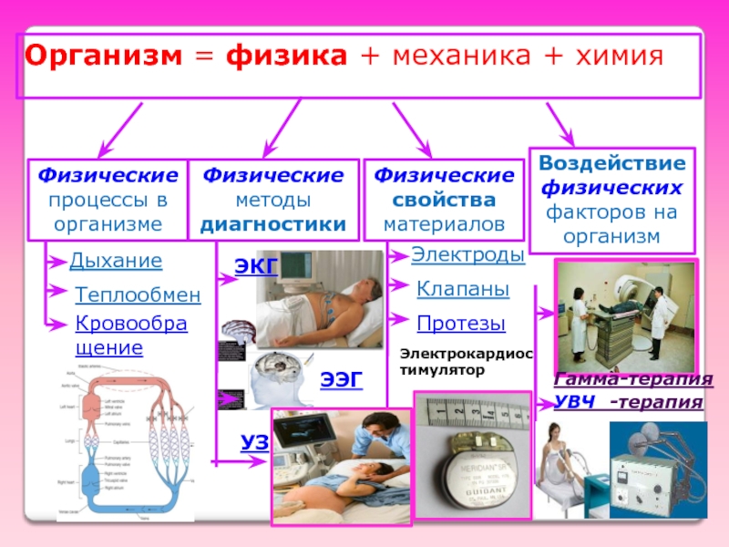 Влияние механической работы на организм школьника проект по физике с презентацией