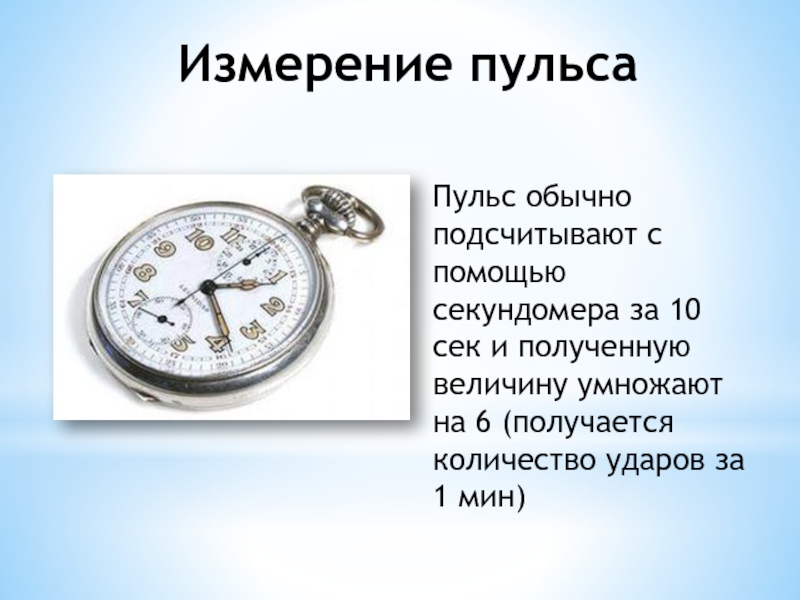 Измерение пульса Пульс обычно подсчитывают с помощью секундомера за 10 сек и