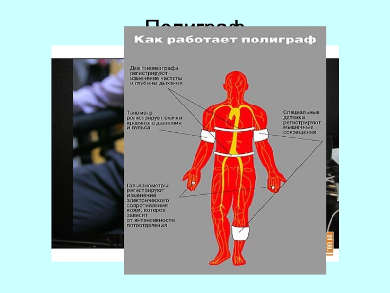 Механизмы проявления эмоций презентация