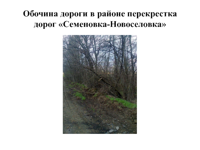 Обочина дороги в районе перекрестка дорог «Семеновка-Новоселовка»