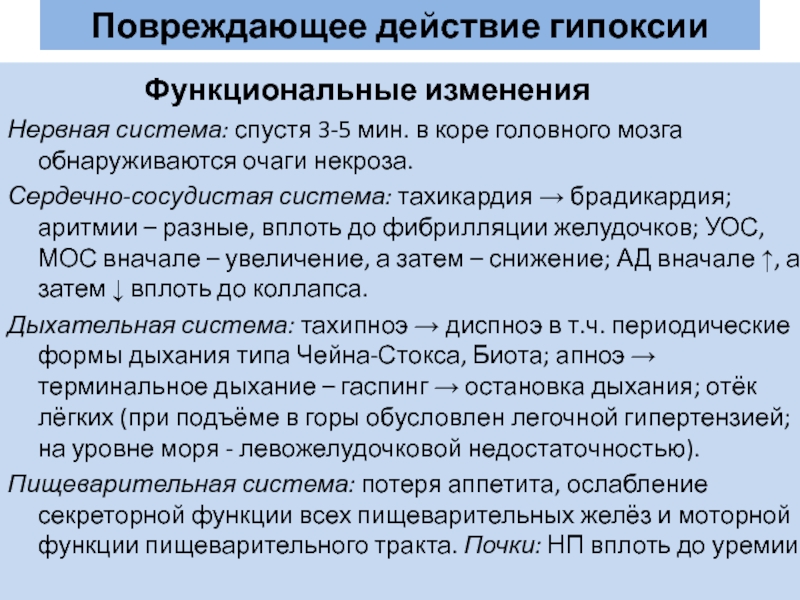 Стадии гипоксии. Экзогенный Тип гипоксии. Синяя гипоксия. Помощь при гипоксии.