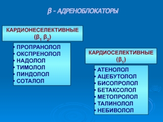 β - адреноблокаторы