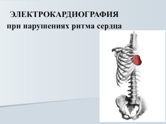 Электрокардиография при нарушениях ритма сердца