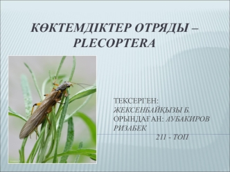 Көктемдіктер отряды – Plecoptera