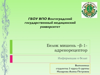 Белок мишень - β-1-адренорецептор. Информация о белке