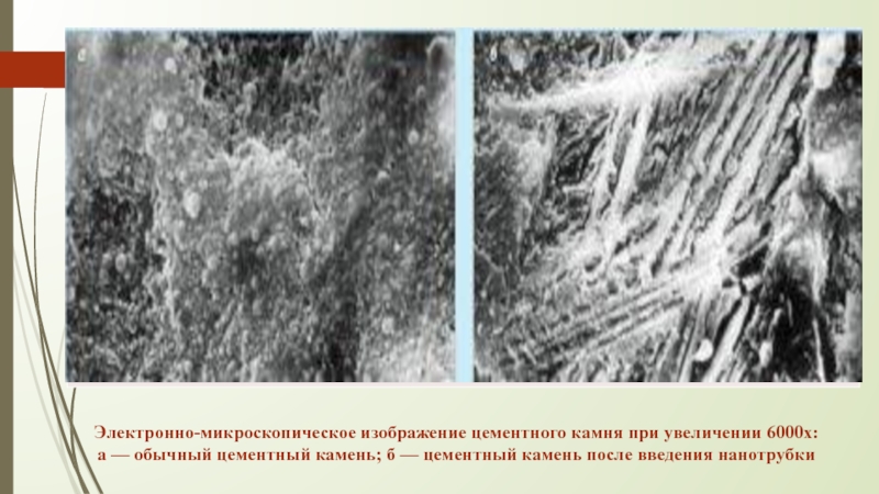Электронно-микроскопическое изображение цементного камня при увеличении 6000х: а — обычный цементный
