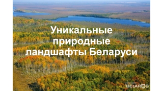 Ландшафты Беларуси