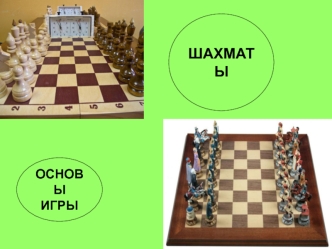 Шахматы. Основы игры